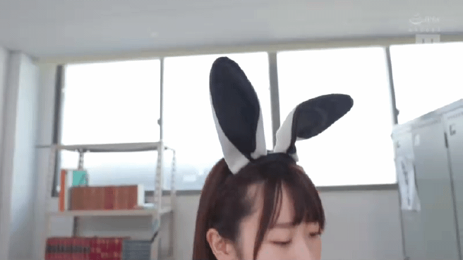 역바니 vs 역바니