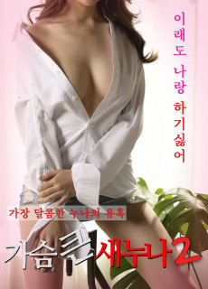 가슴 큰 새 누나 2 (2020) 영화 다시보기