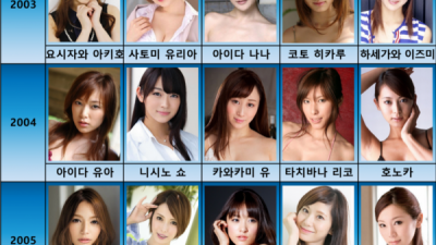 연도별 AV배우 탑5