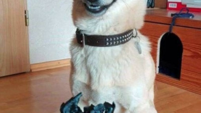 하..... 너무 해맑다