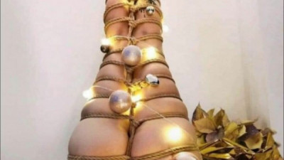 크리스마스트리 하나 장만해야겠네요