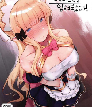 사렌쨩에게 메이드복을 입혀봤다