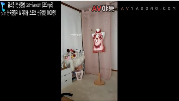 BJ보배